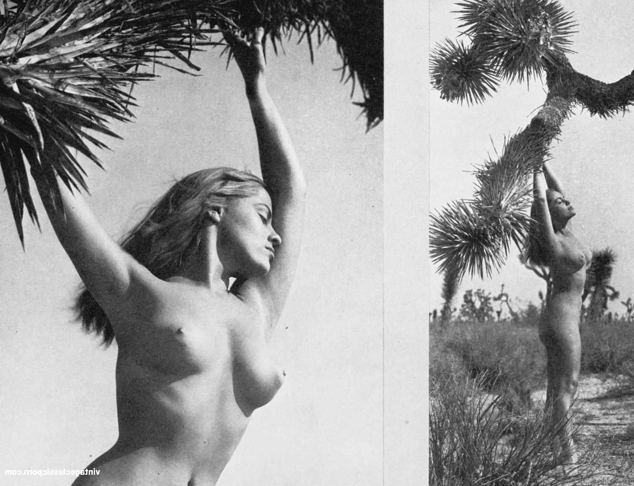 18P Gorgeous vintage model Diane Webber poses naked and teases with her big tits