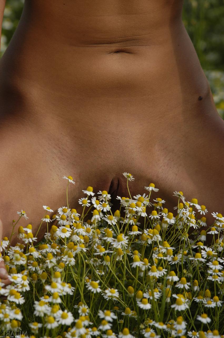 17P Solo-Girl mit schwarzen Haaren und getönten Titten ist ein nacktes Model inmitten wilder Blumen