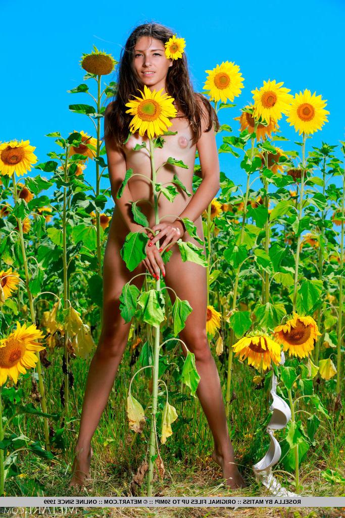 18P Sweet teen Rosella gets totally naked in a field of sunflowers