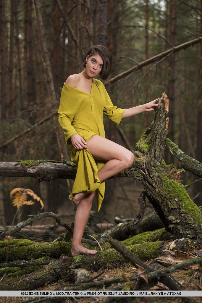 18P Die Amateurfotografin Dakota A entblößt ihre nackte Teenie-Muschi im Wald